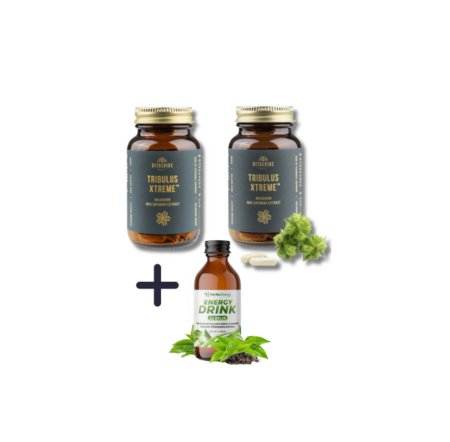 Kotvičník (Tribulus) - extrakt z rostliny 880 mg