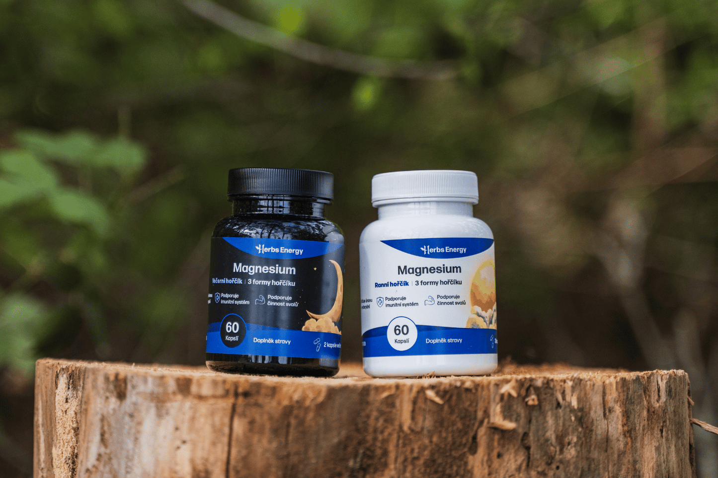 Magnesium VEČERNÍ HOŘČÍK (3 formy hořčíku)