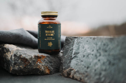 Kotvičník (Tribulus) - extrakt z rostliny 880 mg