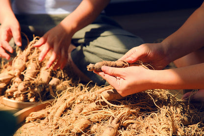 Korejský ženšen - extrakt z kořene 400 mg