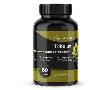 Kotvičník (Tribulus) - extrakt z rostliny 650 mg
