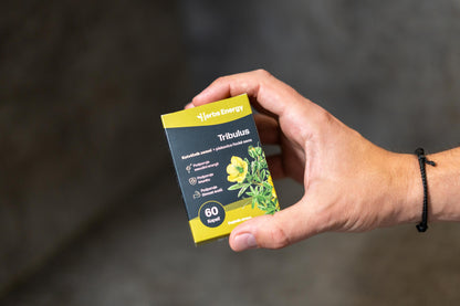 Kotvičník (Tribulus) - extrakt z rostliny 650 mg
