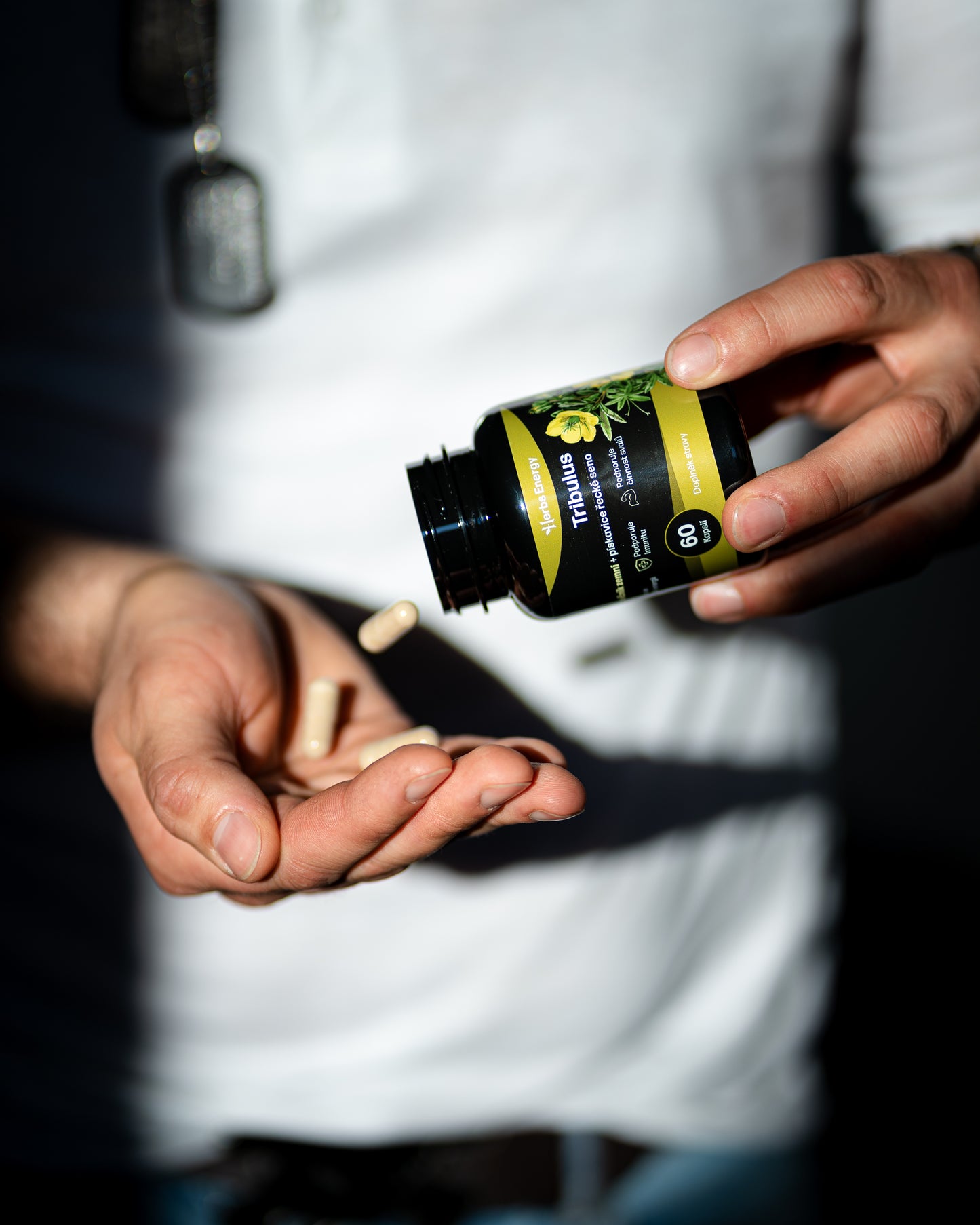 Kotvičník (Tribulus) - extrakt z rostliny 650 mg