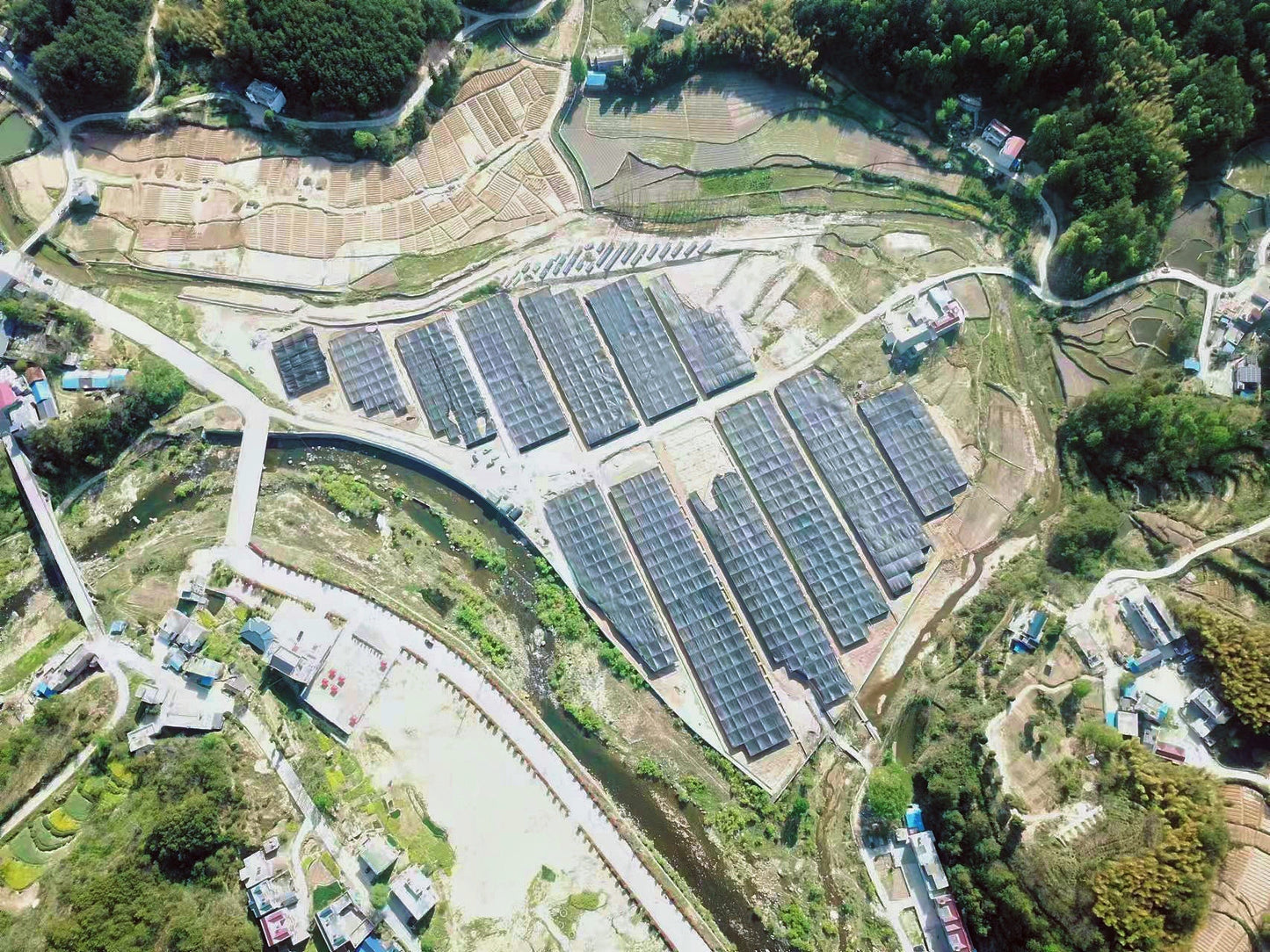 Instantní káva s Reishi